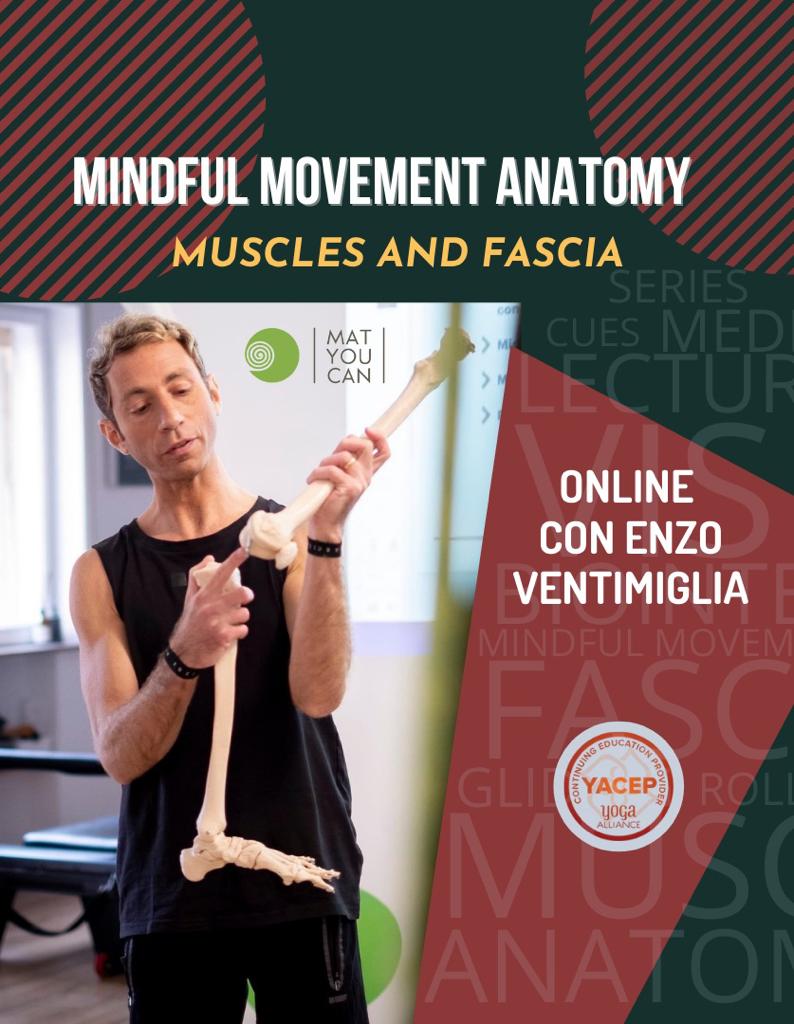 Cours d'anatomie expérimentale en ligne sur les muscles et les fascias avec Enzo Ventimiglia
